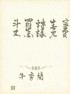 斗罗转生宁荣荣又怎样免费阅读