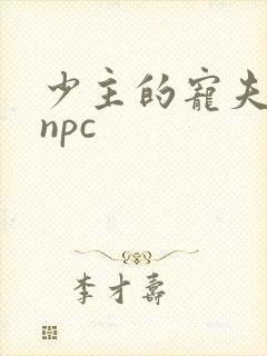 少主的宠夫女尊npc
