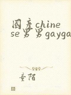 国产chinese男男gaygay在线播放网站