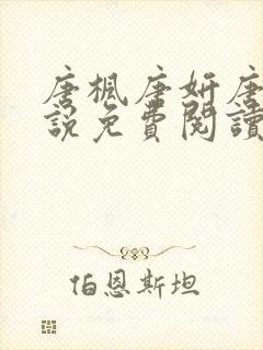 唐枫唐妍唐瑶小说免费阅读最新章节列表封面