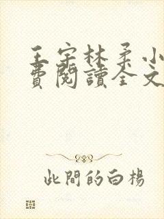 王宇林柔小说免费阅读全文最新章节
