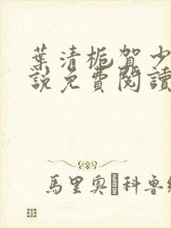 叶清栀贺少衍小说免费阅读最新章节