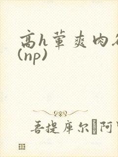 高h荤爽肉欲文(np)封面