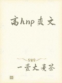 高hnp爽文