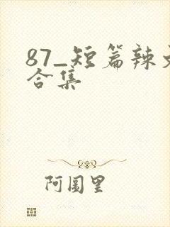 87_短篇辣文合集