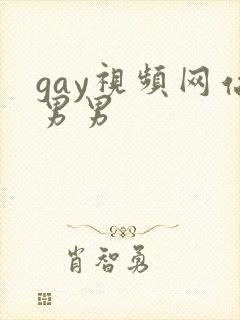 gay视频网站男男