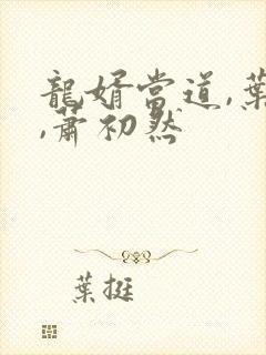 龙婿当道,叶辰,萧初然