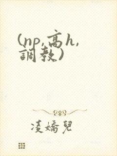(np,高h,调教)