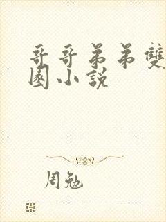 哥哥弟弟双性校园小说