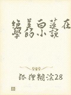 绝美白莲在线教学的小说
