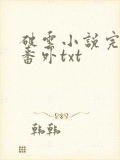 破云小说完整版番外txt