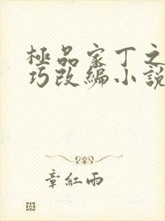 极品家丁之董巧巧改编小说