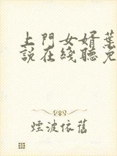 上门女婿叶辰小说在线听免费封面