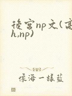 后宫np文(高h,np)