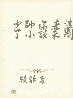 少帅你老婆又跑了小说未删版完整