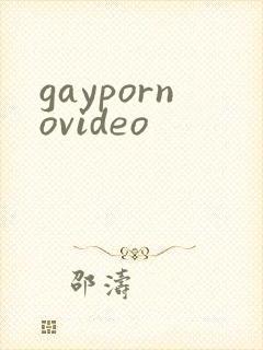 gaypornovideo封面