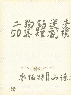 二狗的逆袭人生50集短剧视频