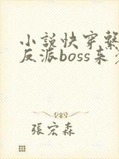 小说快穿系统之反派boss来袭封面