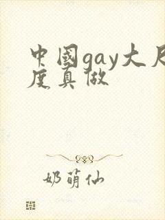 中国gay大尺度真做