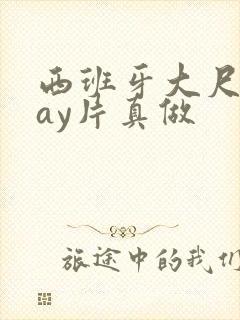 西班牙大尺度gay片真做封面
