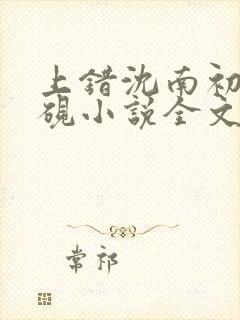 上错沈南初陆时砚小说全文免费阅读