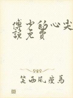 傅少的心尖宠小说免费