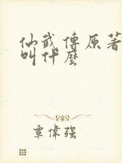 仙武传原著小说叫什么封面
