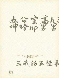 办公室高h荡肉呻吟np男男