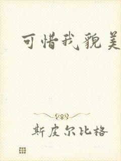 可惜我貌美如花