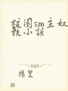 校园sm主奴调教小说封面