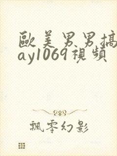 欧美男男搞基gay1069视频