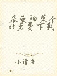 辰东神墓全本txt免费下载封面