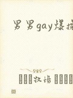 男男gay爆操