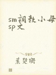 sm调教小母狗sp文