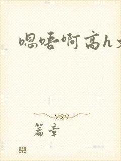 嗯唔啊高h文