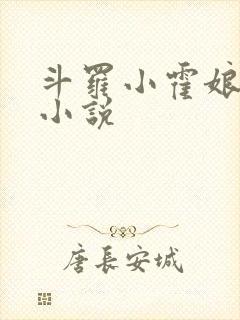 斗罗小霍娘同人小说