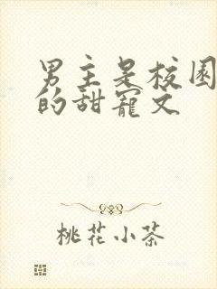 男主是校园大佬的甜宠文