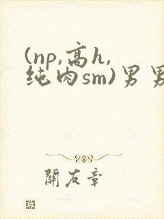 (np,高h,纯肉sm)男男