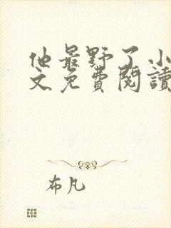 他最野了小说全文免费阅读无弹窗