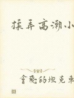 揉弄高潮小说