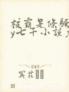 校霸是条骚狗by七千小说免费阅读