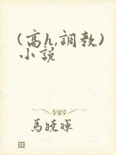 (高h,调教)小说