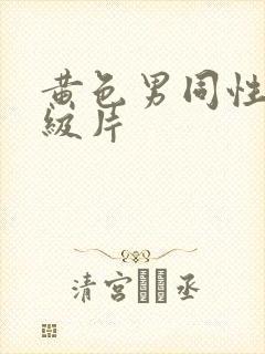 黄色男同性恋一级片封面
