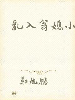 乱入翁媳小说