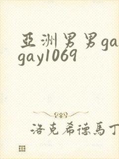 亚洲男男gaygay1069封面