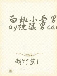 白嫩小受男男gay被猛男cao