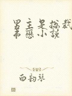 男主是总裁的姐弟恋小说