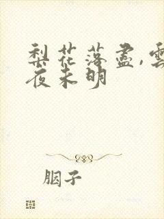 梨花落尽,云散夜未明