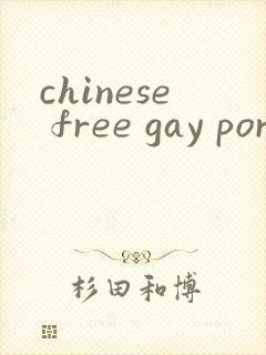 chinese free gay porn封面