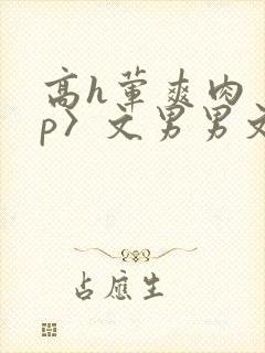 高h荤爽肉〈np〉文男男文
